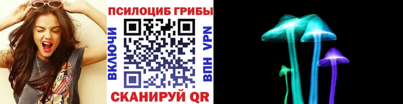 hydra   как найти наркотики  Каменногорск  Псилоцибиновые грибы Magic Shrooms 